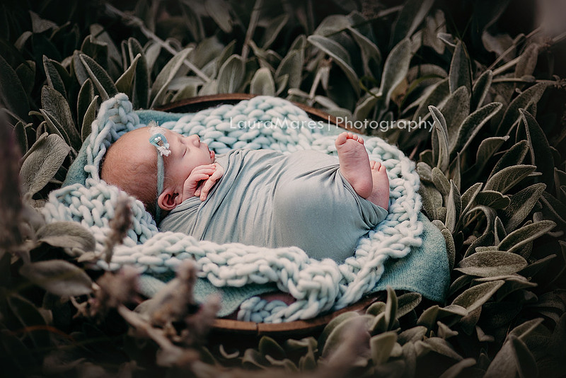 Outdoor sunset newborn portraits with mint props in a wooden bowl  | Laura Mares Photography | Pittsburgh Newborn Photographer