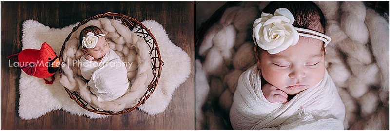 Newborn Baby Girl Portraits in Studio | Pittsburgh Newborn Photographer | Laura Mares Photography